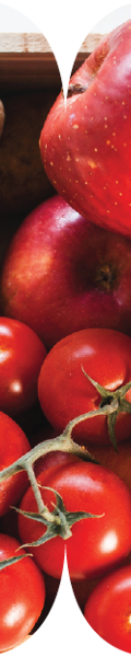 Produce Box